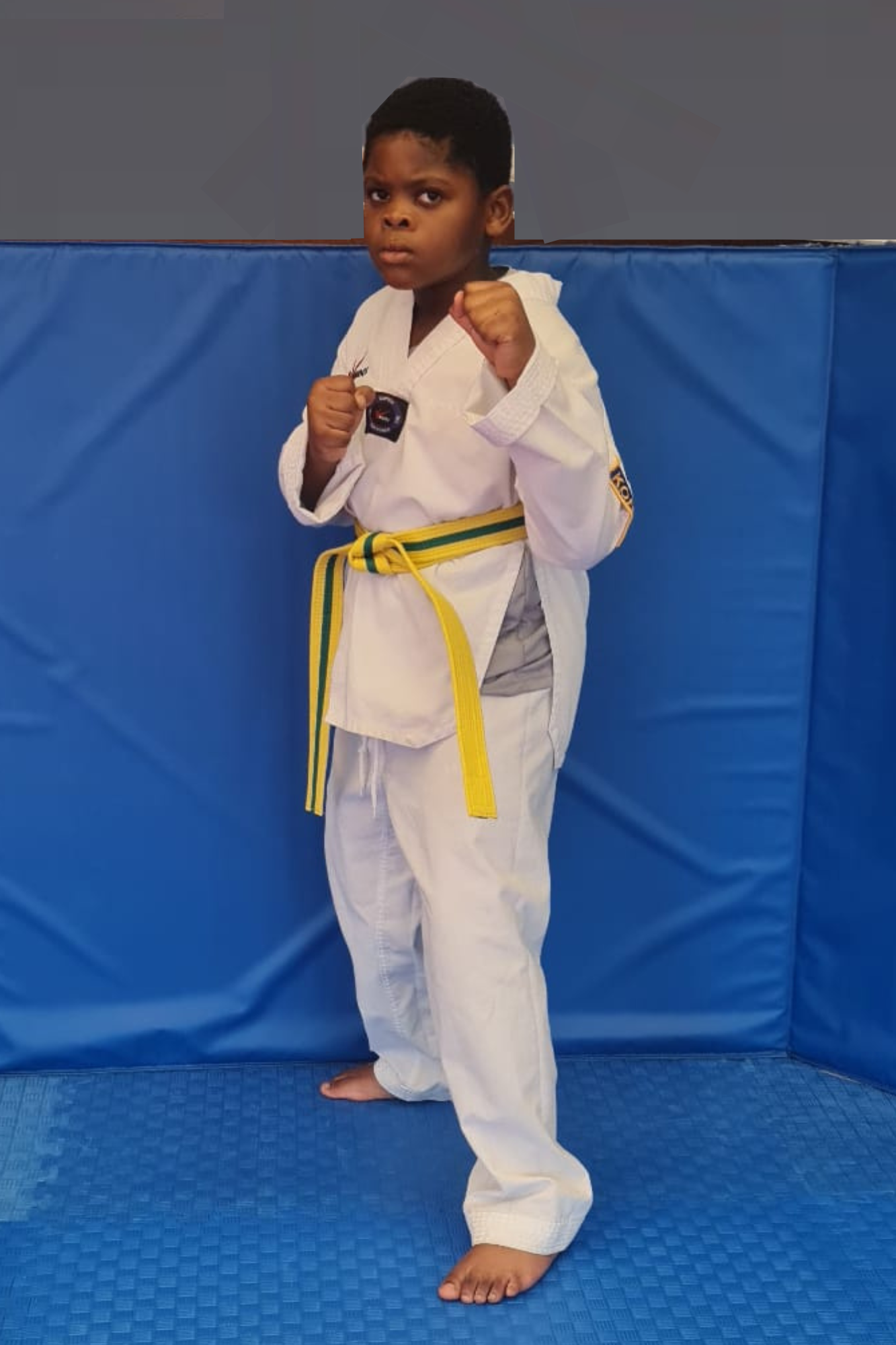 Taekwondo Class